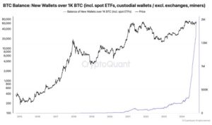 Bitcoin-chart-from-Ki-Young-Ju.jpg