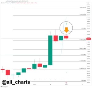 Bitcoin-chart-from-Ali-Martinez.jpg