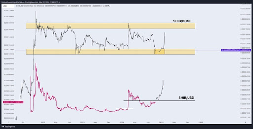 Dogecoin-vs.-Shiba-Inu.jpg