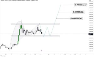 Shiba-Inu-chart-from-Rose-Premium-Signals.jpg