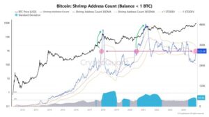 Bitcoin-chart-from-Axel-Adler-Jr.jpg