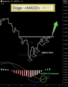 Dogecoin-1-1.png